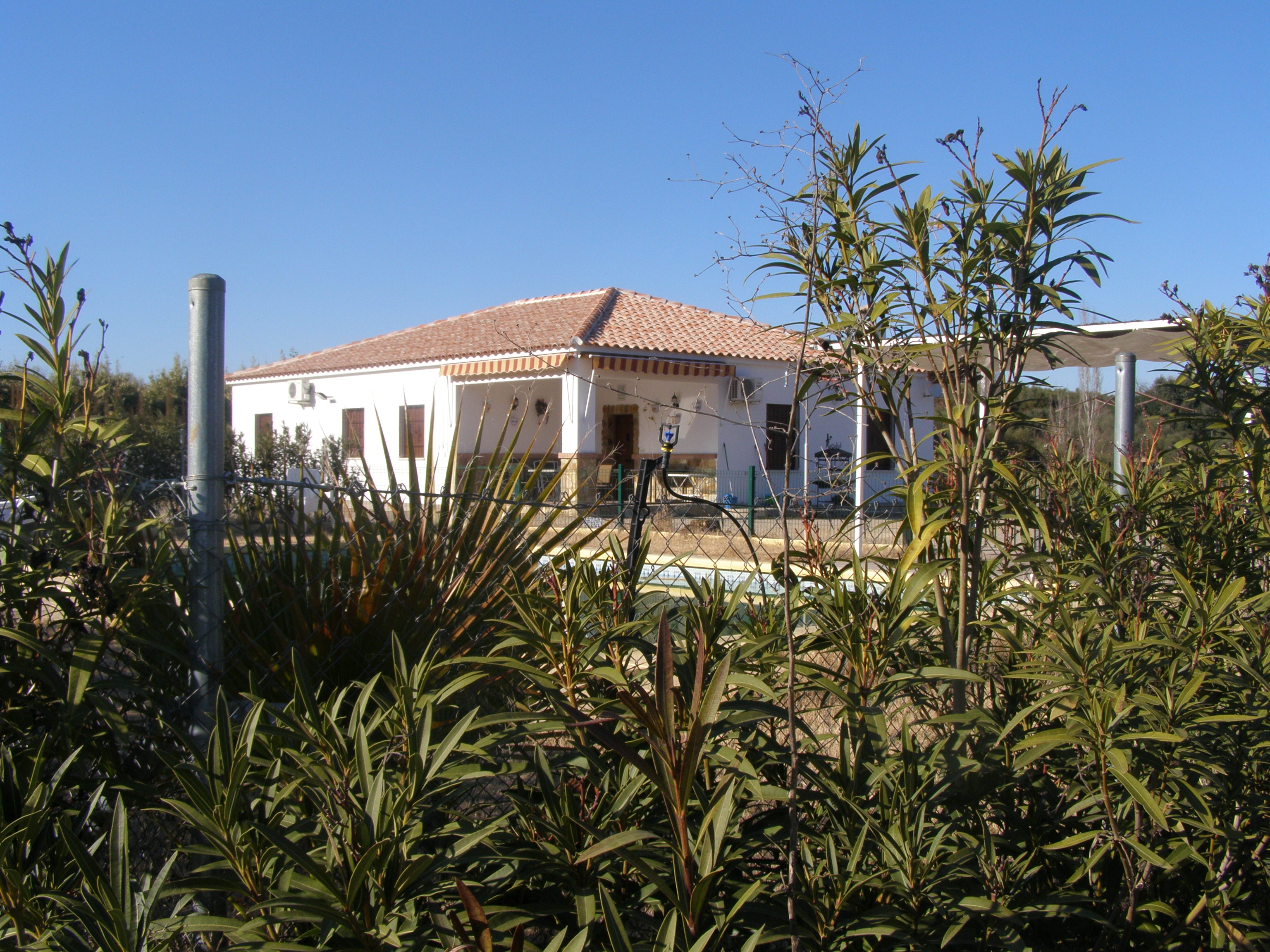 Casa Rural la Alameda